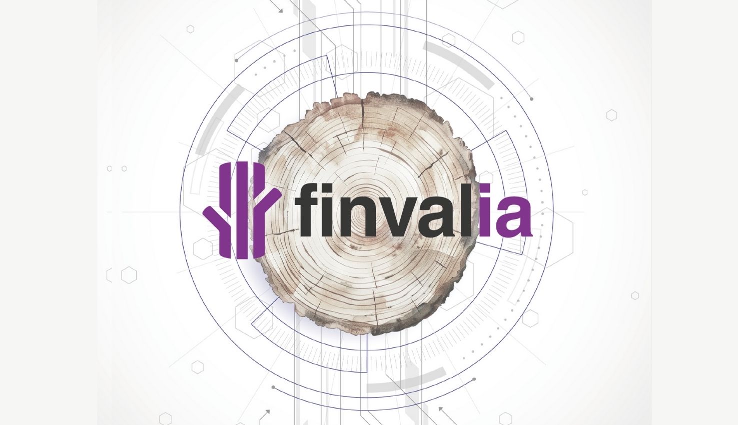 CONOCE A LOS CUATRO SOCIOS DE FINVALIA